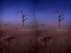 Untitled-1.jpg