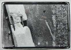DSC_8815.jpg