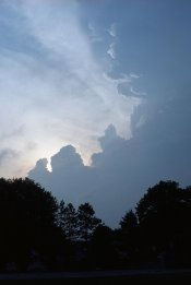 img172.jpg