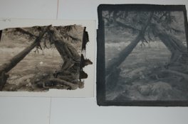 comparison.jpg