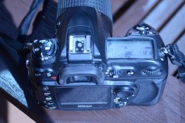 Nikon D200 3.jpg