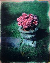 IMG-1186s.jpg