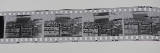 A - Canon P negs.jpg A - Canon P negs.jpg