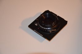 DSC_0245.JPG