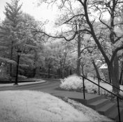 overcast-IR.jpg