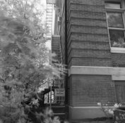 overcast-IR-2.jpg