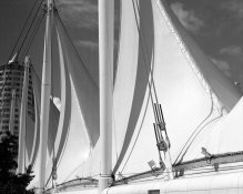img007A.jpg