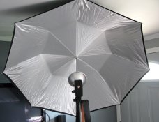 White umbrella.jpg White umbrella.jpg