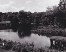 paradise-example.jpg
