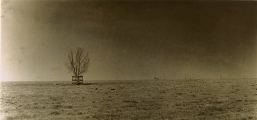 22 08 18 ilford rcvc selenium vanadium bruno fp4489 b (2).jpg