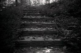 Stairs2.jpg
