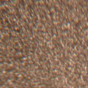 Grain Rayco UFG.jpg