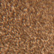 Grain Pyrocat HD 1+100.jpg