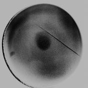 gif123.gif