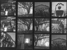 contact_sheet.jpg