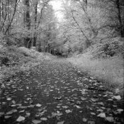 05b-2019-10-06-SFX-Watershed-res-1000.jpg 05b-2019-10-06-SFX-Watershed-res-1000.jpg