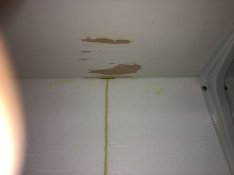IMG_3348.jpg IMG_3348.jpg