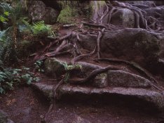 43a-2019-07-08-Minnekhada-Andrew-North 40-Ektachrome.jpg 43a-2019-07-08-Minnekhada-Andrew-North 40-Ektachrome.jpg