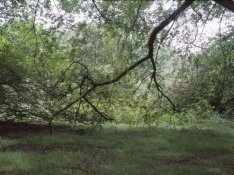 55a-2019-07-08-Minnekhada-Andrew-North 40-Ektachrome.jpg 55a-2019-07-08-Minnekhada-Andrew-North 40-Ektachrome.jpg