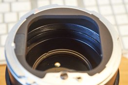 DFC_9543.jpg DFC_9543.jpg