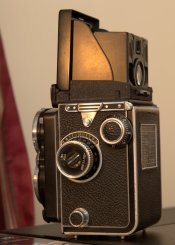 IMG_7723.jpg