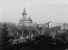 ADOX CMS II Pro.jpg