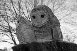 woodowl_01w.jpg