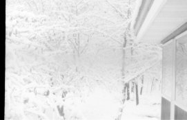 IMG_0015.jpg