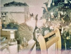 LOMO2.JPG