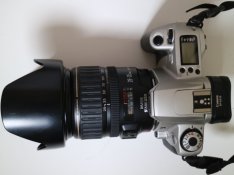 Rebel_200.1.JPG