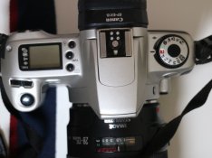 Rebel_200.4.JPG