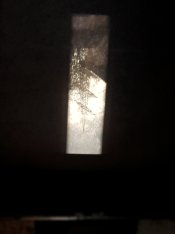 focus_005.jpg
