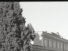 New-batch-detail-001.jpg