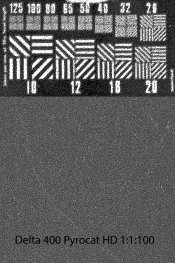Delta 400 Pyrocat HD.jpg