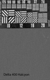 Delta 400 Halcyon.jpg