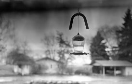 2020-01-21-0004 copy web.jpg