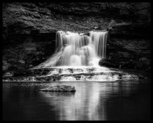 49479994136_e3ffe6097d_k (2).jpg