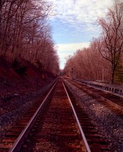 Railroad Tracks - colorperfect.jpg