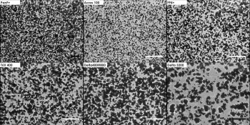 comparison-1000x.jpg