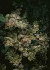 081006-004a.jpg