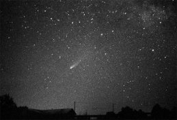 Halley-1.jpg