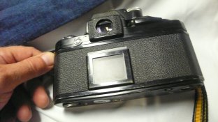P1020323.JPG
