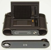 MP.g_0905.jpg