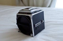 DSC02131.jpg