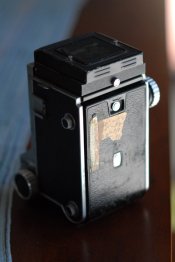 JCC_5387.JPG