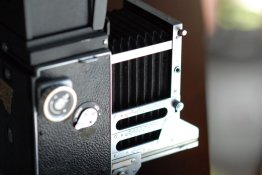 JCC_5390.JPG