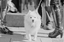 IMG053.jpg