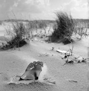 fp4_xtol_schier_aug2011_009_rs.jpg