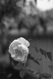 4E46DBEA-243E-485E-B363-AFD91640CAE0.jpeg