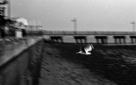 02 12 16 942 (3).jpg 02 12 16 942 (3).jpg
